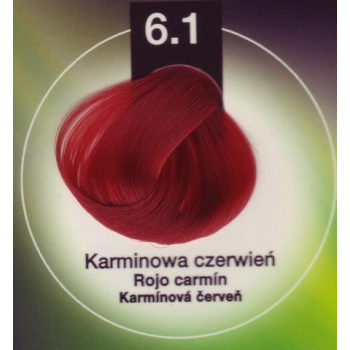 . CHANTAL FARBA DO WŁOSÓW VARIÉTÉ 6.1 KARMINOWA CZERWIEŃ